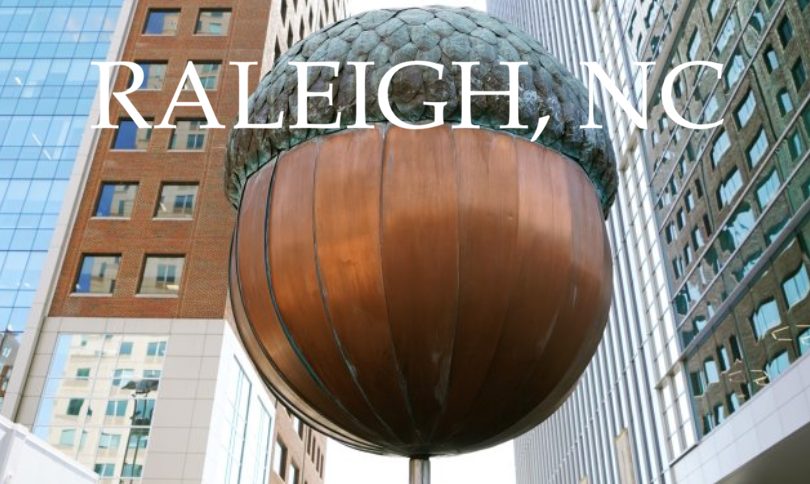 Raleigh Link photo